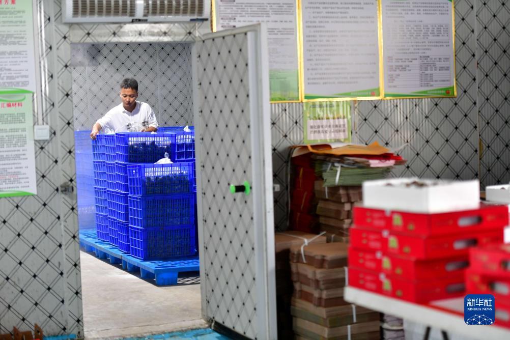 指尖捕鱼游戏最新版